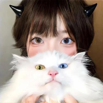 所有的猫都是灰色